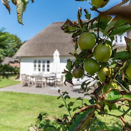 Kapitaenshaus West *